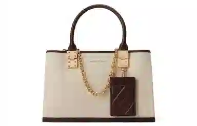 Charles & Keith Kelly Bag Dark Brown/Beige