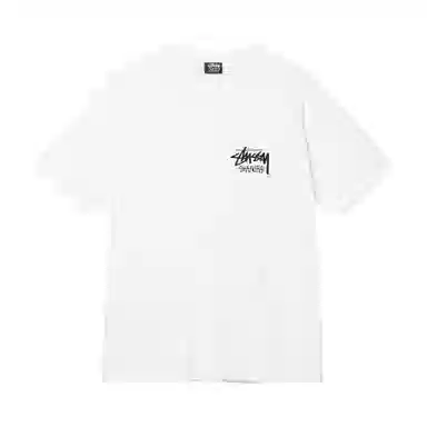 Stussy LogoT