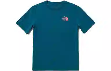 THE NORTH FACE T