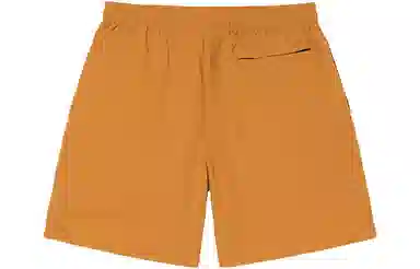 Stussy SS22 Logo Curly S Water Short