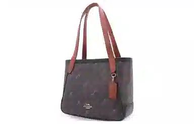 COACH Horse And Carriage 27