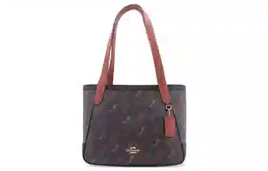 COACH Horse And Carriage 27