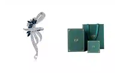 JAY Brooch