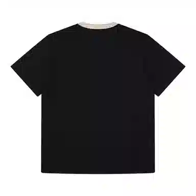 PASET T