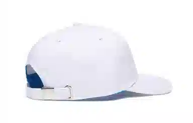 Pepsi Iconography
