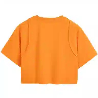 CKCalvin Klein T