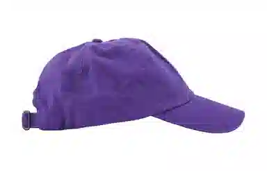 Polo Ralph Lauren Cap Purple