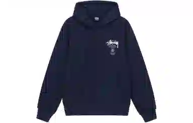 Stussy World Tour Hoodie