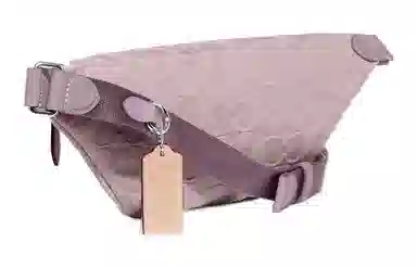 COACH Charter 34 Logo