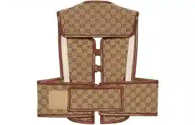 GUCCI SS23 Logo