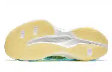 10.0 Pro