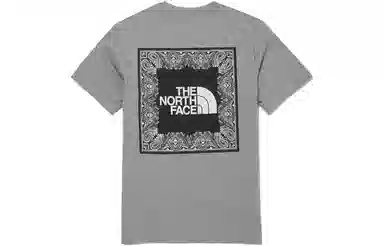THE NORTH FACE Nse Bandana Ss Rtee 1 logoT