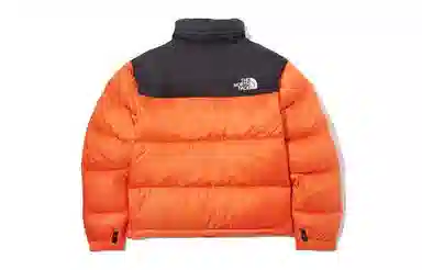 THE NORTH FACE 1996 1996
