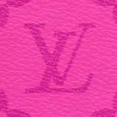 Louis Vuitton Card Holder