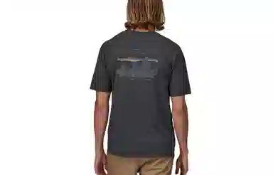 patagonia Men's '73 Skyline Organic T-Shirt LogoT