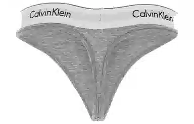 Calvin Klein Logo Briefs Grey