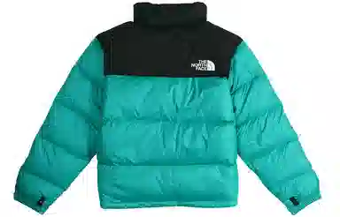The North Face 1996 Retro 700 Down Jacket