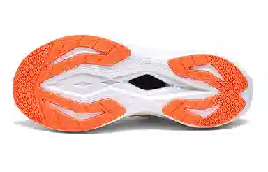 LOTTO PRO 1 50