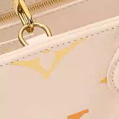 LOUIS VUITTON ONTHEGO PM Tote