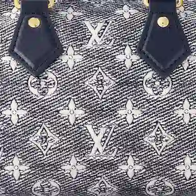 LOUIS VUITTON Speedy Bandouliere 20