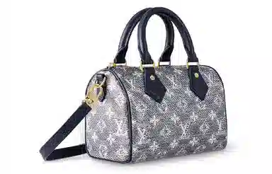 LOUIS VUITTON Speedy Bandouliere 20