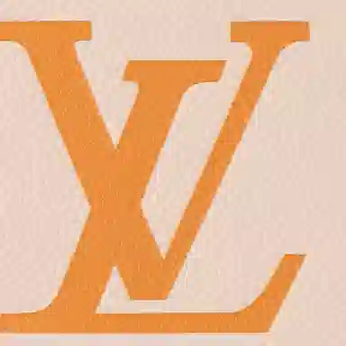 LOUIS VUITTON ONTHEGO PM Tote