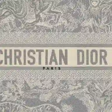 DIOR BookTote Tote