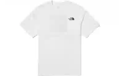 THE NORTH FACE Nse Box Logo Ssrtee LogoT