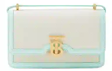 Burberry Signature Lock Mini Bag Natural Mint