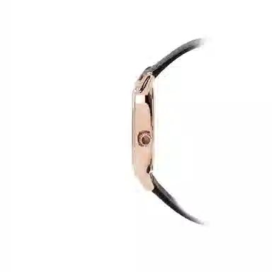 EMPORIO ARMANI AR11485