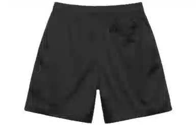 Stussy Mesh Surf Shorts