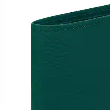 Louis Vuitton Multiple Wallet Green