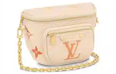 LOUIS VUITTON Bumbag Logo