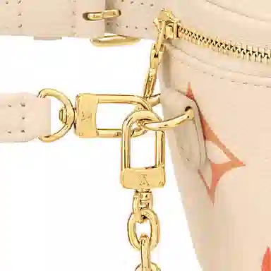 LOUIS VUITTON Bumbag Logo