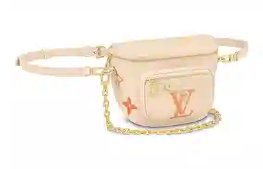 LOUIS VUITTON Bumbag Logo