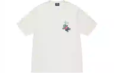 Stussy Dollie Pigment Dyed Tee