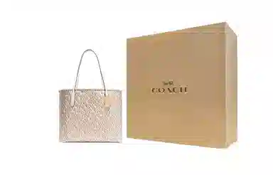 COACH City Tote Chalk White