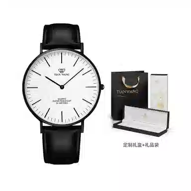 TIANWANG TWINKLE 3851B