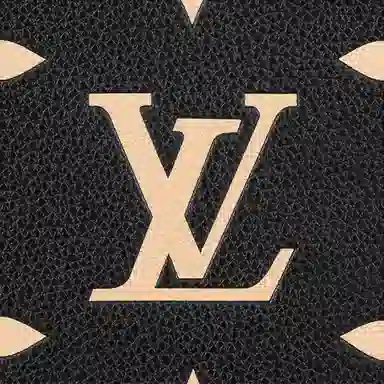 LOUIS VUITTON Petit Sac Plat