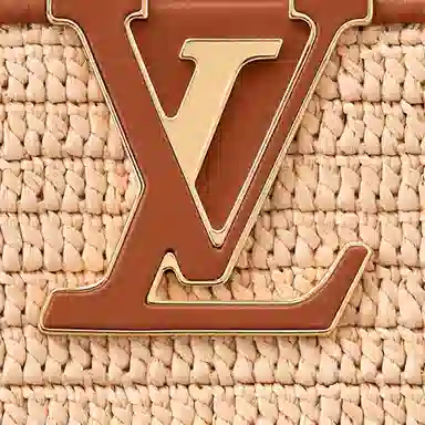 LOUIS VUITTON Summer Capucines
