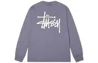 Stussy Basic Stussy LS Tee