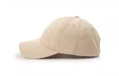 Baijuan Duck Embroidery Cap