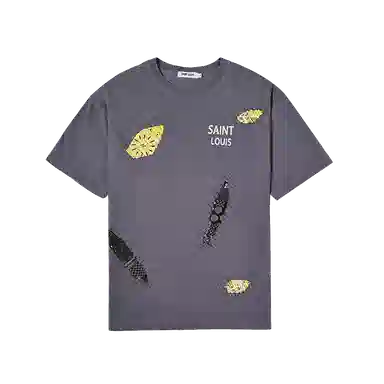 SSSAINT LOUIS T
