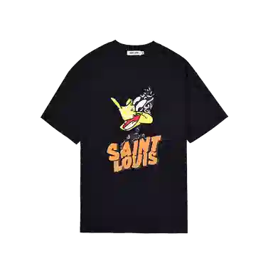 SSSAINT LOUIS the DUCKT