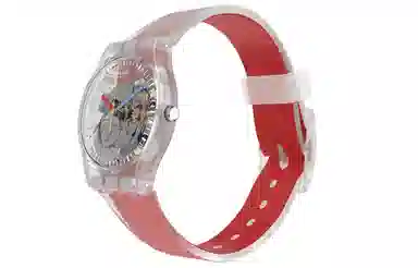 SWATCH Clear 34mm GE292