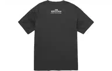 THE NORTH FACE SS23 LogoT