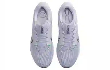 Nike Air Zoom Pegasus 40