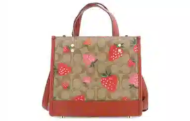 COACH Dempsey 22 Tote