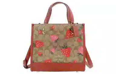 COACH Dempsey 22 Tote