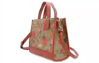 COACH Dempsey 22 Tote
